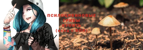 таблы Надым