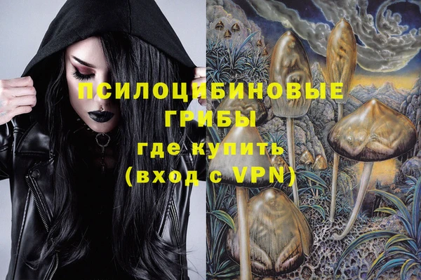 таблы Надым