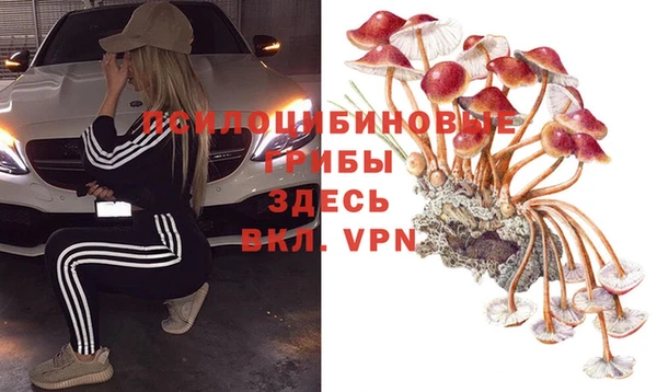 ПСИЛОЦИБИНОВЫЕ ГРИБЫ Навашино